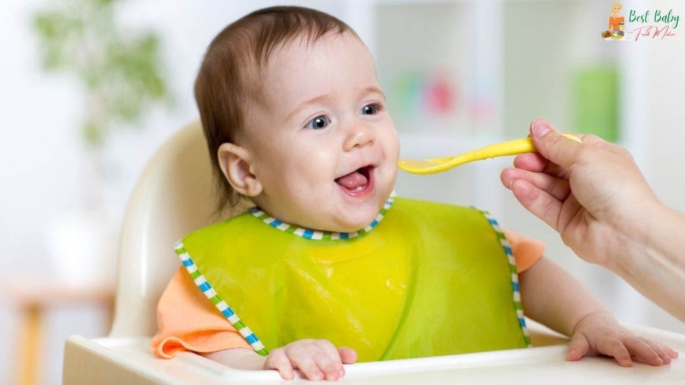 How To Select The Best Baby Food Maker